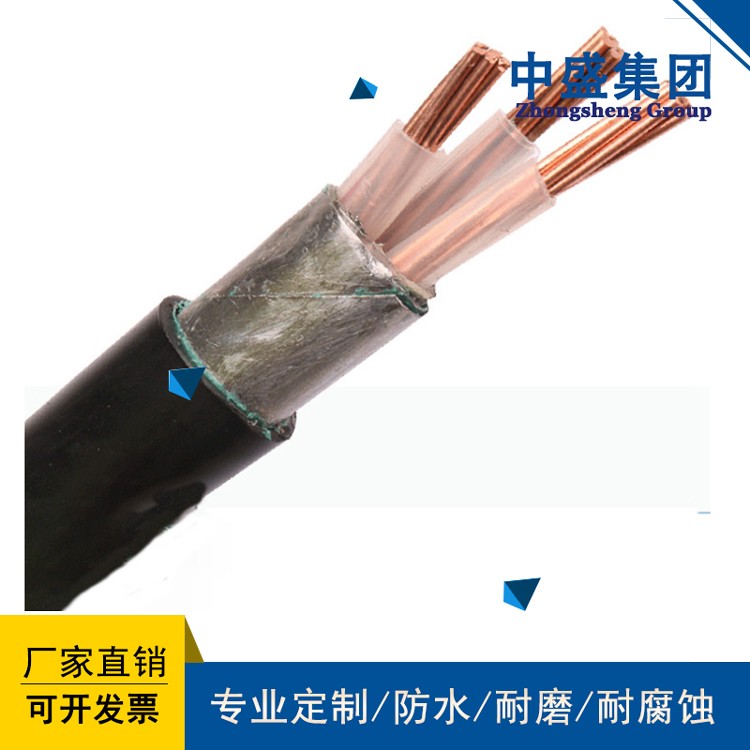 安徽天長(zhǎng)中盛屏蔽鎧裝計(jì)算機(jī)電纜 DJVP2VP2-22 4*2*1.5
