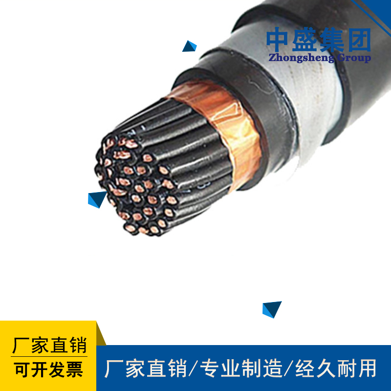 鋼帶鎧裝計(jì)算機(jī)電纜DJYVP22、DJYPV22