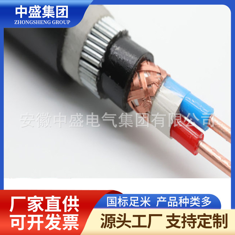 鎧裝計(jì)算機(jī)電纜DJYJP3YP3-33