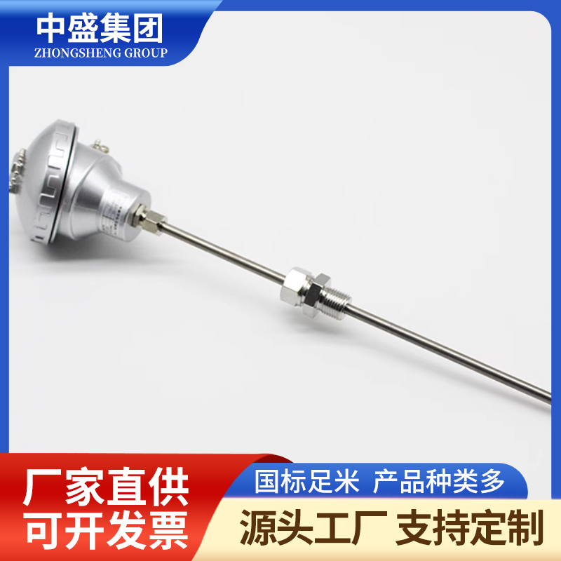 扁接插式鎧裝熱電偶WRPK2-171
