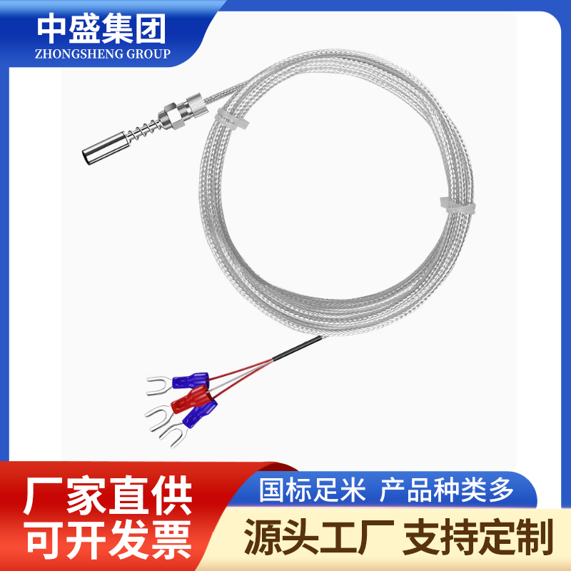 補償導(dǎo)線式鎧裝熱電偶WRNK-191