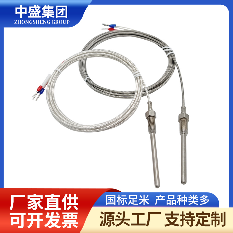補(bǔ)償導(dǎo)線式鎧裝熱電偶WRMK-291