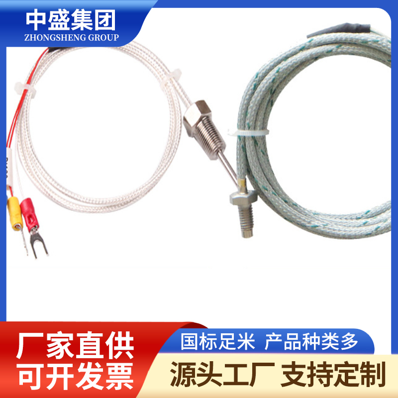 補(bǔ)償導(dǎo)線式鎧裝熱電偶WREK-291