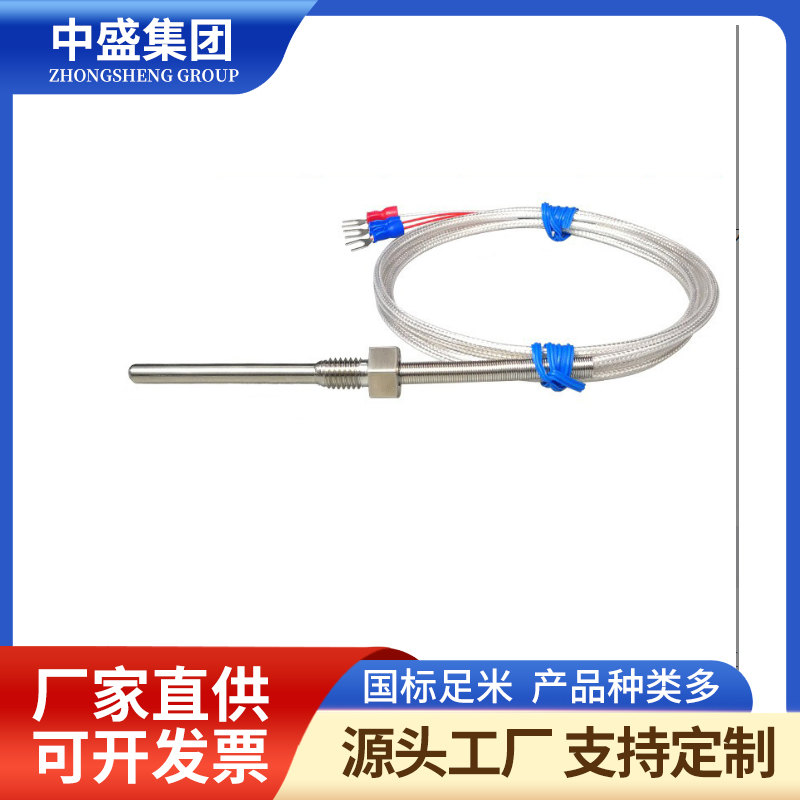補償導(dǎo)線式鎧裝熱電偶WRCK-291