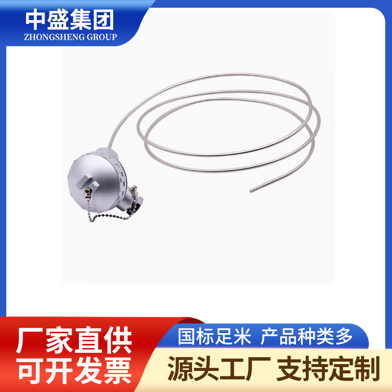 補(bǔ)償導(dǎo)線式鎧裝熱電偶WREK-391