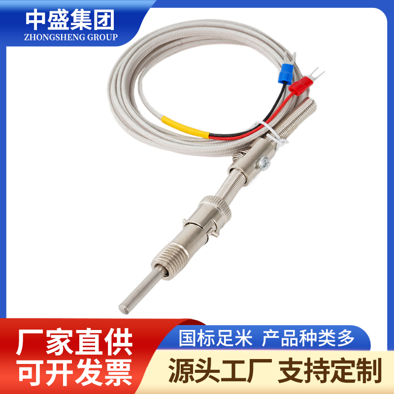 補(bǔ)償導(dǎo)線式鎧裝熱電偶WRMK-491