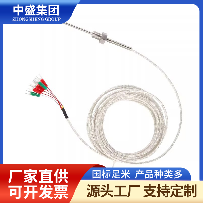 補(bǔ)償導(dǎo)線式鎧裝熱電偶WRNK-591