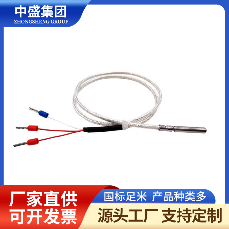 補(bǔ)償導(dǎo)線式鎧裝熱電阻WRMK-181