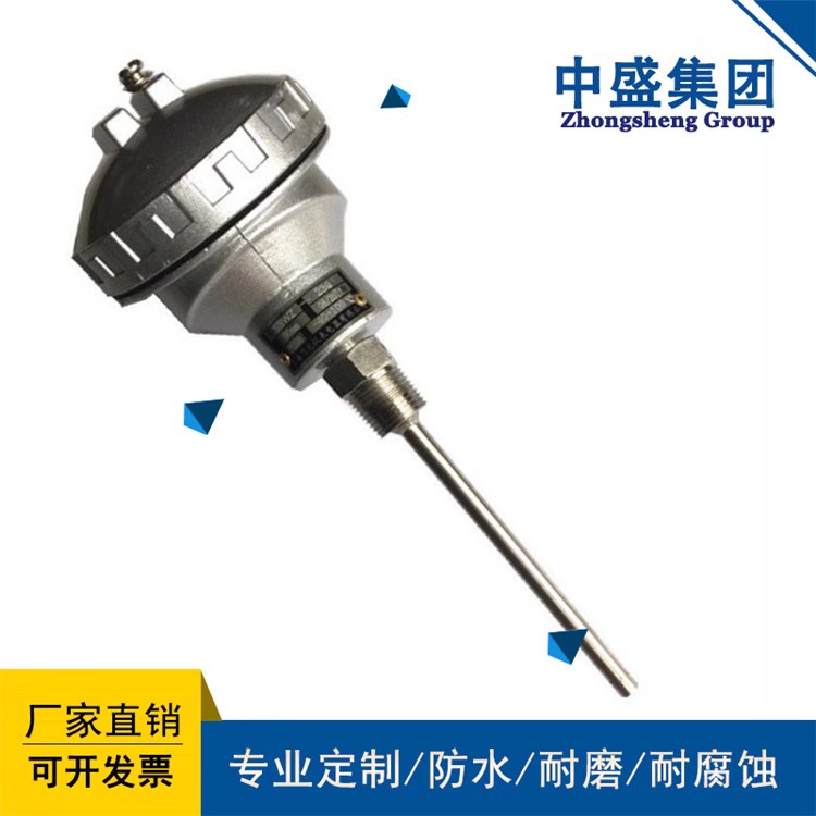 裝配熱電偶WRF-101 WRF2-101
