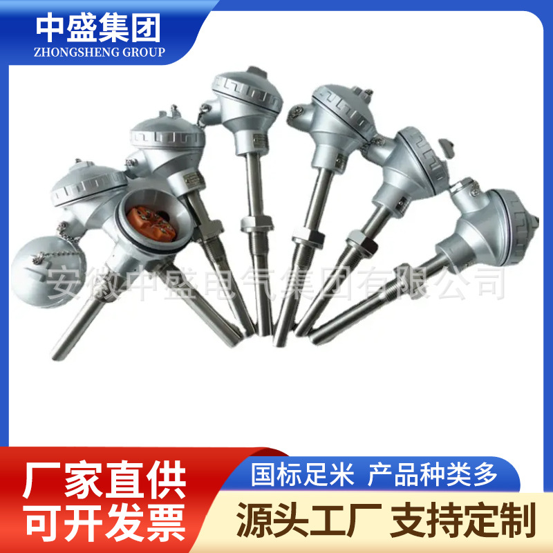 無(wú)固定裝置熱電偶WRM-131 WRM2-131?