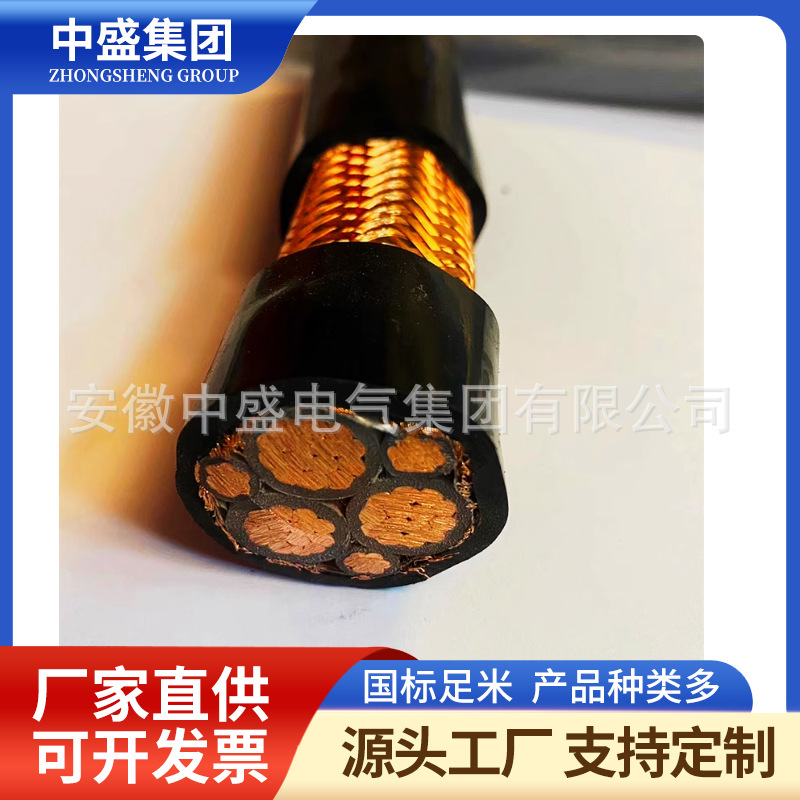 BPYJVP2 frequency conversion copper tape shielded cable